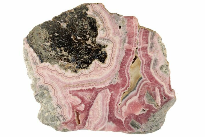 Rhodochrosite Stalactite Slice with Pyrite & Galena - Argentina #194415